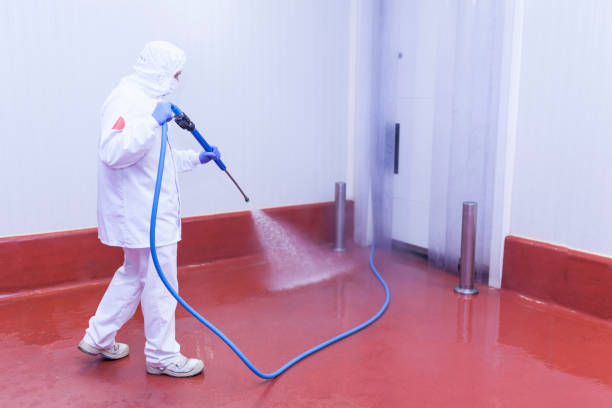 Best Pre-Holiday Cleaning  in Garner, IA